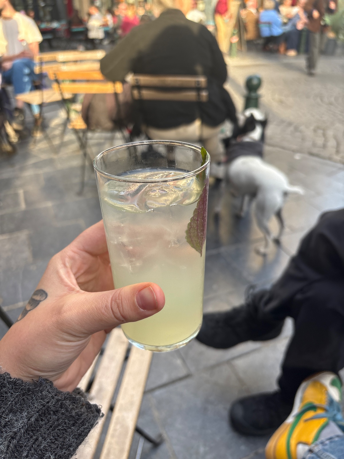 Cocktail at Mappa mundo